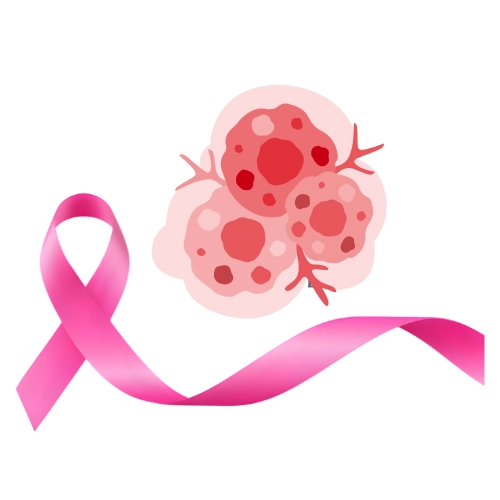 CANCER SUPPORT CATEGORIES